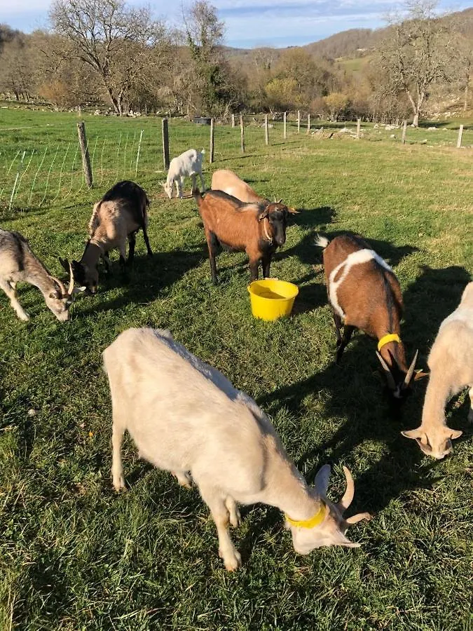 Gite A La Ferme Montesquieu-Avantes 0*,